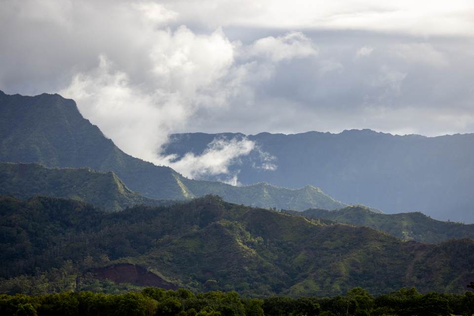 Mountain Fog